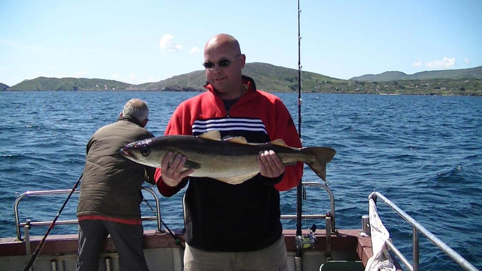 Sneem River Lodge Bed & Breakfast Exterior foto